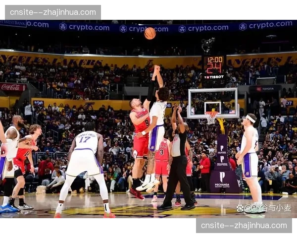 湖人戴维斯系列赛场均12.3篮板3.8盖帽，护框威慑力显著